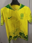 2627 Brazil Forest Edition